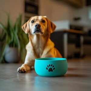 3D-gedruckter Hundenapf | Moderne Haustierschale | Stilvoller Futter- & Wassernapf für Haustiere | Individueller Hundefressnapf | Einzigartiges Haustierzubehör | Geschenkidee für Haustiere