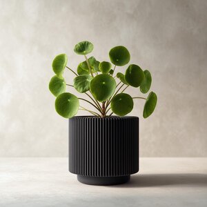 Moderner Schwarzer Pflanzer 3D-gedruckt | Minimalistischer Geriffelter Blumentopf | Zeitgenössischer Innenpflanzer